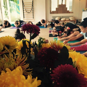 12122406_10153020038722330_4764764111242402080_n-b9a926a2e317a17aa632a371ad6f3f31